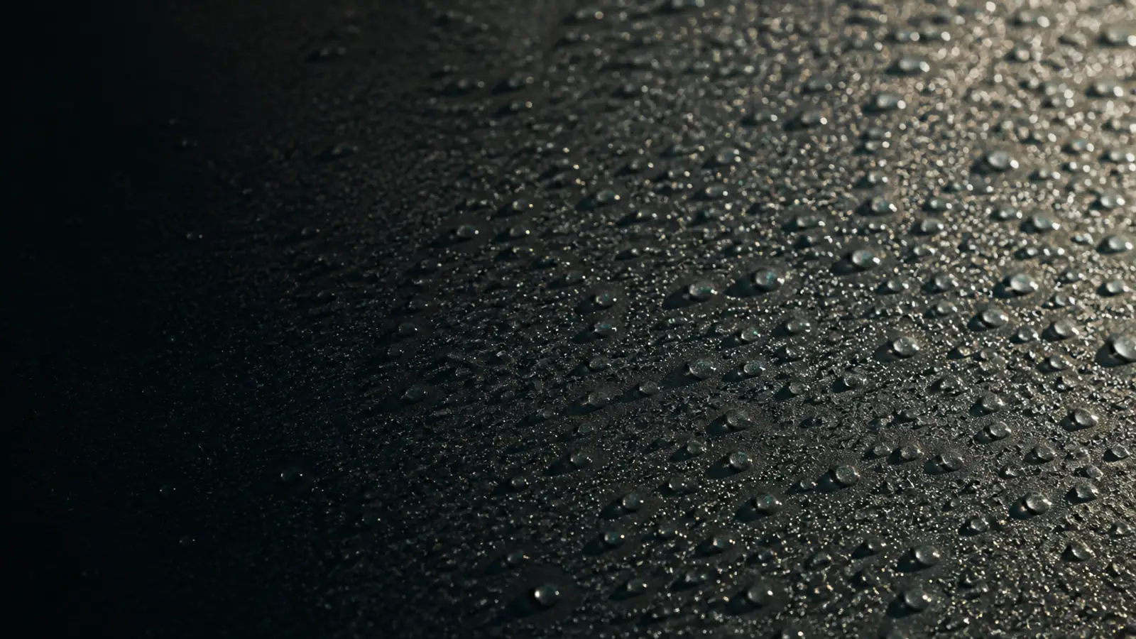 Macro view of tight water droplets standing up across black car paint in low raking sunlight, with a fine film of pale road dust settled in the gaps between them