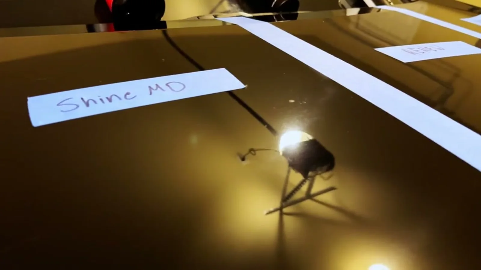 Insect stuck to a coated black bonnet beside a strip of masking tape labelled by hand, lit by a work lamp