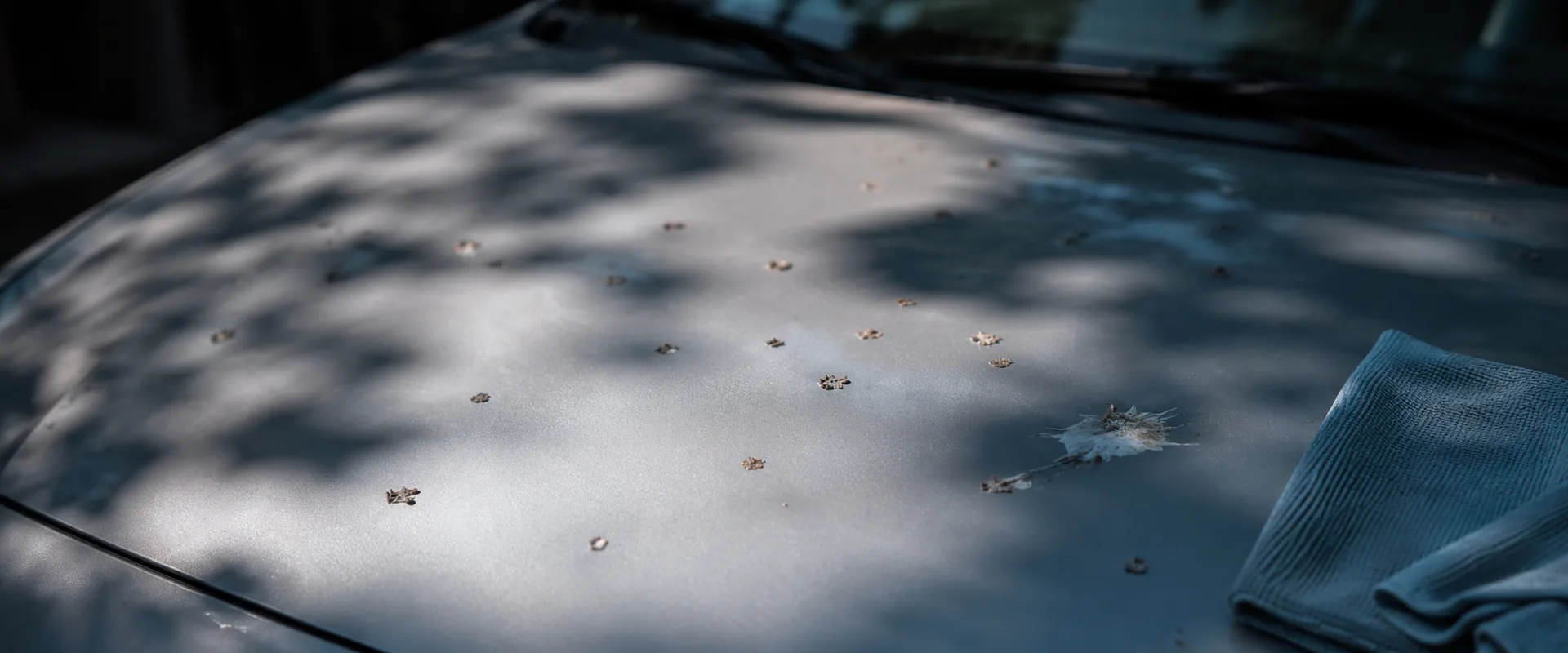 Amber tree sap droplets hardened on a light grey car bonnet under dappled shade from the tree above